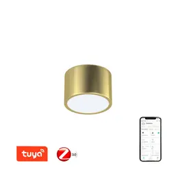immax-neo-rondate-smart-stropni-svitidlo-15cm-12w-zlate-zigbee-3-0.jpg