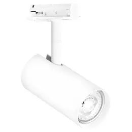 LDV_4058075756588_2.jpg