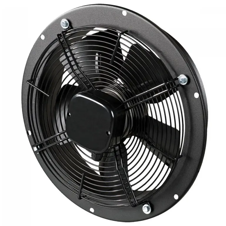 ELEM_1009619.jpg