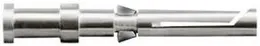 WM_1651600000.jpg