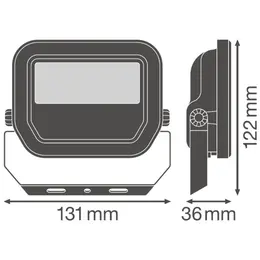 LDV_asset-8905386.jpg