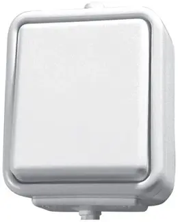 SCH_70210.jpg