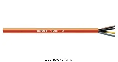 LAP_0013621_ilustr.jpg