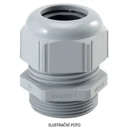 LAP_53111420_ilustr.jpg