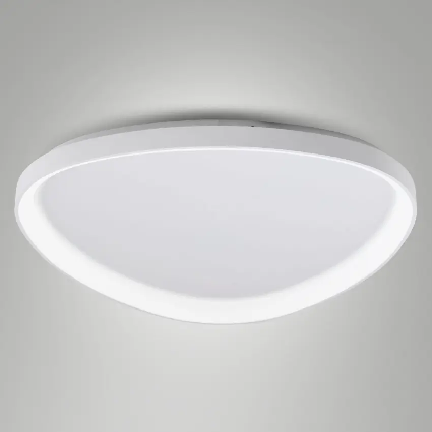 83724387_FABAS_LUCE_Foto1.jpg
