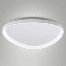 83724387_FABAS_LUCE_Foto1.jpg