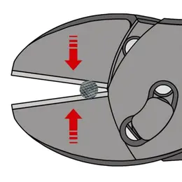 KN_IM0009979.jpg