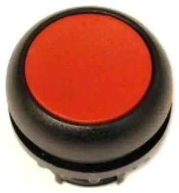 EA_216595.jpg