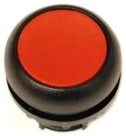 EA_216595.jpg