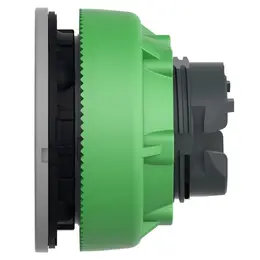 83708050_SCHNEIDER__Foto5.jpg