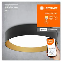 LDV_4058075754799_255.jpg