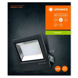 LDV_asset-5360025.jpg