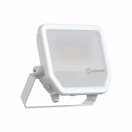 asset-13210862.jpg