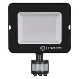LDV_asset-12922136.jpg