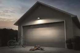 LDV_asset-3783803.jpg
