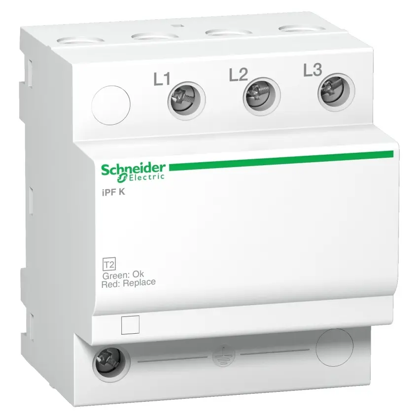 SCH_PB114701.jpg