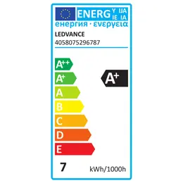 LDV_asset-6212698.jpg