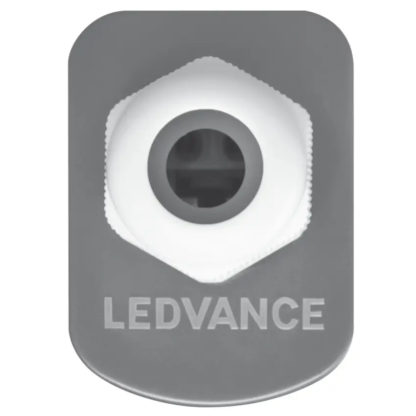 LDV_asset-2248448 (2).jpg