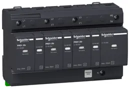 SCH_PB104260.jpg