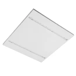 ED_Z60_2.jpg