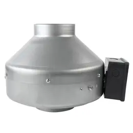 ELEM_1009522.jpg