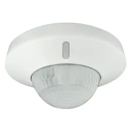 SCH_CCT551003.jpg