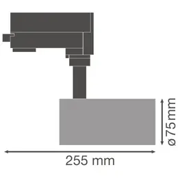 LDV_asset-3152891.jpg