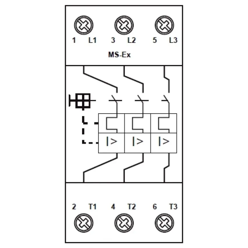 EDV_MS-Exschema.jpg