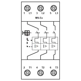 EDV_MS-Exschema.jpg