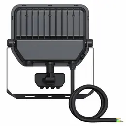 LDV_asset-13210798.jpg