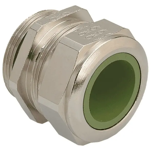 SM_3882428.jpg