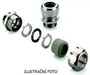 WM_1706950000_ilustr.jpg