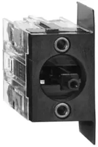SCH_XENB1181.jpg
