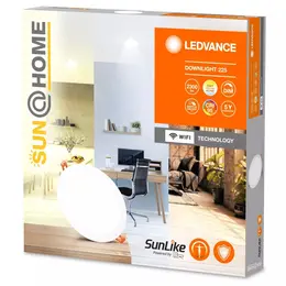 LDV_asset-13023665.jpg
