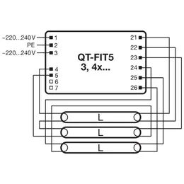 LDV_asset-556921.jpg