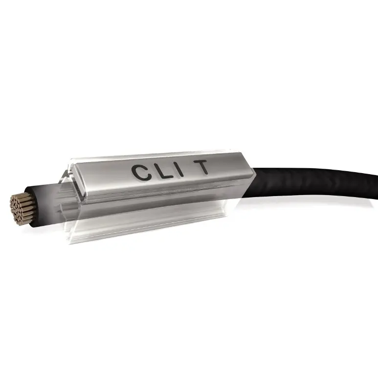 WM_CLI_T.jpg