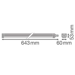 LDV_asset-13076775.jpg