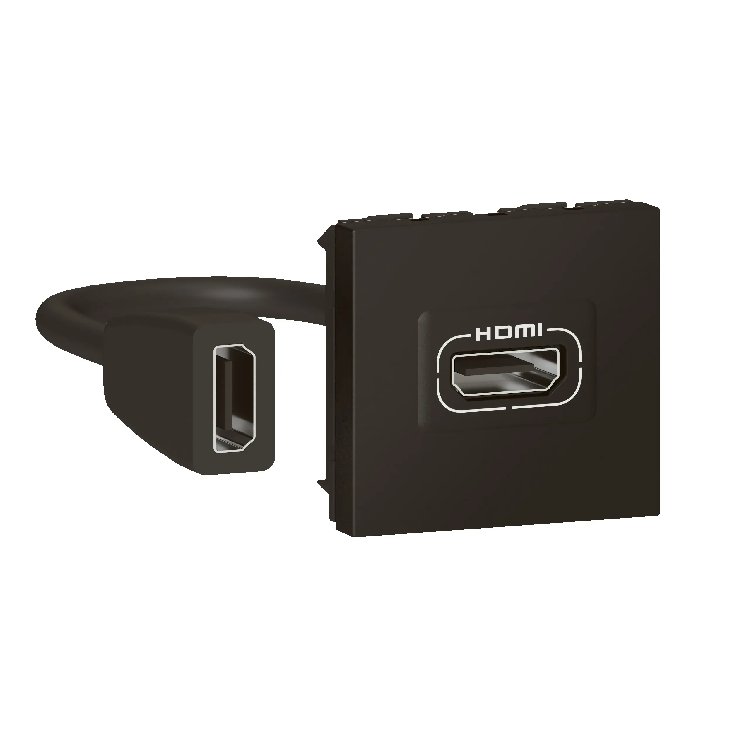 LG-079479L-WEB-R.jpg