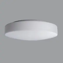 EDNA.jpg