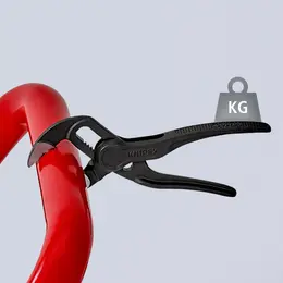 KN_IM0020958.jpg