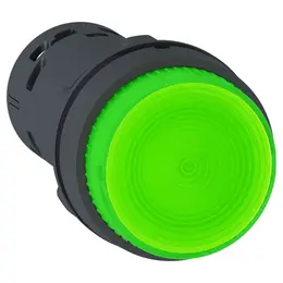 SCH_PF100487.jpg