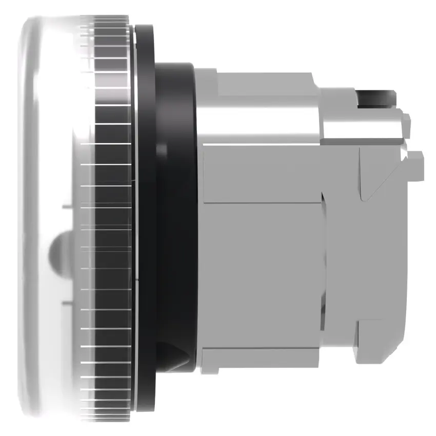 83709146_SCHNEIDER__Foto3.jpg
