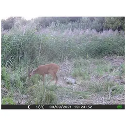 VAR_14893.jpg