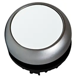 SCHR_f_mm216922--.jpg