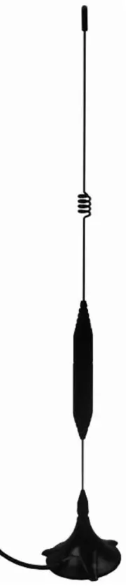 ELK_AN-E.jpg