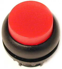EA_116A173.jpg