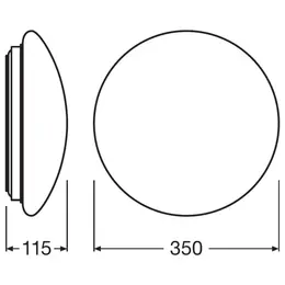 LDV_asset-54487.jpg