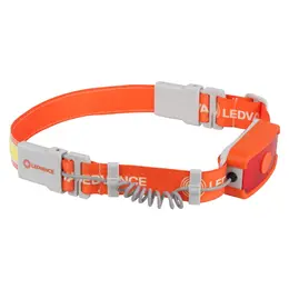 LDV_asset-13203506.jpg
