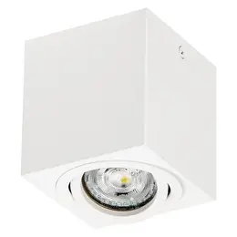asset-13067091.jpg