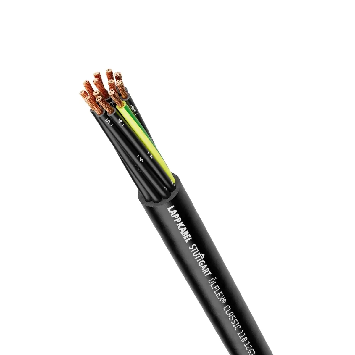 wQfBYFYS-PVYyadS0ljMZpaWrh7WpyUyh_R951plunY~.jpg